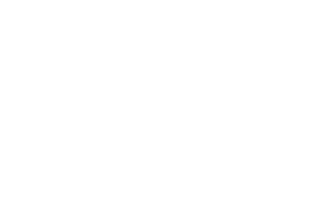 AEG Logo